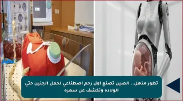 تطور مذهل.. الصين تصنع أول رحم اصطناعي لحمل الجنين حتى الولادة وتكشف عن سعره